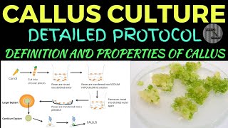 CALLUS CULTURE TECHNIQUE  DETAILED PROTOCOL OF CALLUS CULTURE DEFINITION PRINCIPLE  PROPERTIES [upl. by Constantino]