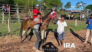 BAGUIRA VS RUFIANA [upl. by Deehan814]