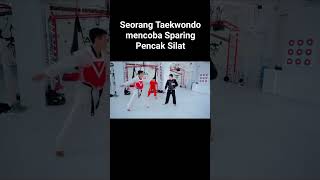 Taekwondo vs pencak silatsparring sparing [upl. by Luehrmann]