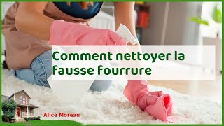 Fausse fourrure comme neuve  conseils pour un nettoyage doux et efficace [upl. by Ylrebmi]