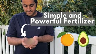 This Powerful Fertilizer is Free and Natural [upl. by Iadahs653]