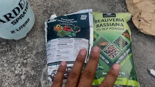 Beauveria Bassiana And Pseudomonas Fluorescens Powder  Bio Fungicide for Seeds amp Home Garden Plants [upl. by Chamberlin]