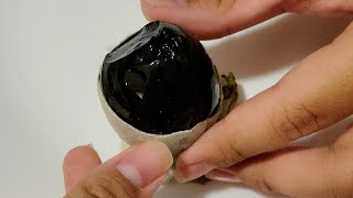 Cracking Century Black Duck Egg Duck Egg 🦆🥚Yummy asmrsounds trending viralvideo [upl. by Claudell]