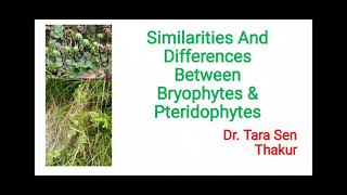 Similarities and Differences Between Bryophytes and Pteridophytes [upl. by Naehs]