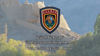 Güzel Türkistan  Uyghur Song for Independences [upl. by Ursulina]