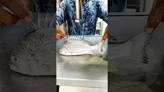 Amazing super sea giant fish cutting skills fish market fish cutting show fish fishlaver shorts [upl. by Richmal]