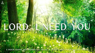 Lord I Need You Instrumental Worship Meditation amp Prayer Music with Nature 🌿CHRISTIAN piano [upl. by Flss]