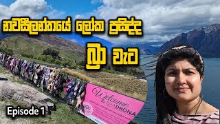 World Famous Bra Fence in Wanaka New Zealand  EP 01 [upl. by Yeltneb489]