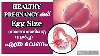 Egg size for Healthy Pregnancy Malayalam Momtalks [upl. by Polak]