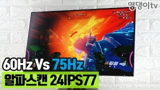 알파스캔 24IPS77 게이밍 모니터 60Hz Vs 75Hz 체감될까 [upl. by Tunk656]