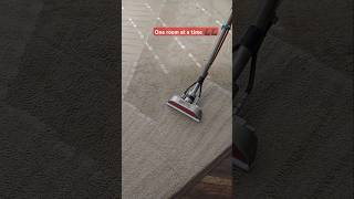 DEEP CLEAN 😱😱😱 carpetsteamcleaning oddlysatisfying relaxing cleaning [upl. by Reba528]