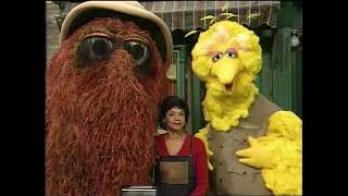 Sesame Street 3879 Big Bird and Snuffy Explore Things that are Alive 2000 [upl. by Anabelle]