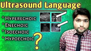 Decoding Ultrasound Language  Understanding Hyperechoic Hypoechoic Echogenicity Isoechoic and [upl. by Enirehtak949]