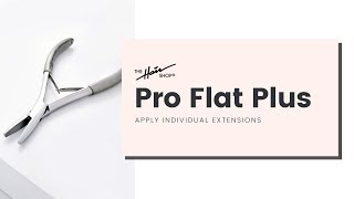 Pro Flat Plus [upl. by Anaujd]