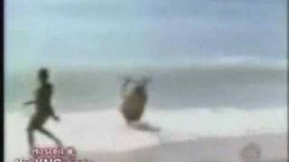 Parachute Crash Compilation  Funny [upl. by Krasner]