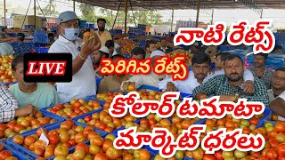 10092024 kolar tomato market ratetoday Kolar tomato market price kolartomatomarkettomato [upl. by Tnarud221]