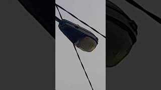 Schreder ZXU1 70w son HPS Street light lantern on ESB network pole [upl. by Brendon775]