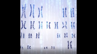 AI Based Karyotyping on Bone Marrow Samples [upl. by Katerina]