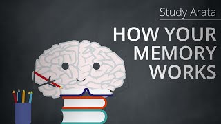 This is how your memory works encoding storage and retrieval  Study Arata 19 [upl. by Dalia]