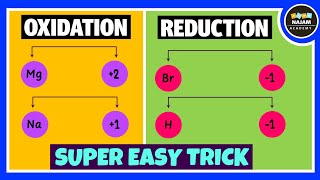 Oxidation and Reduction Reactions [upl. by Mandie]