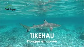 Plongée en apnée à Tikehau  Snorkeling in Tikehau [upl. by Yssak]