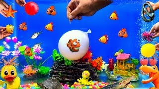 Fish Video Fish Tank Little Fishes Balloon Surprise Egg Spider Octopus Alligator Animal Toy [upl. by Desai]