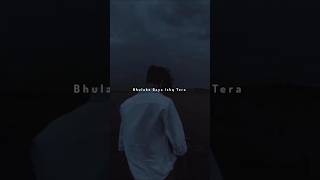 Tujhpe Main Marta Raha  Aesthetic love status  Slowed And Reverb Status  shorts lofi trending [upl. by Elonore]