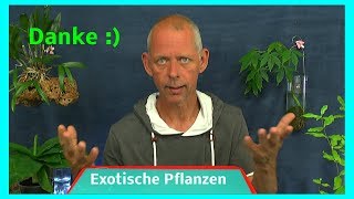 Exoten Rundgang Pflanzen Updates Danke an meine Zuschauer [upl. by Swor]