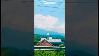 Wayanad tripkerala youtube ytshortsindia wayanad youtubeshorts fyp [upl. by Ihcas]