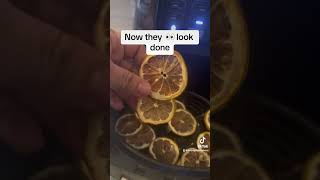 Dehydrating lemons 🍋 lemon dehydrated dehydrating airfryer ninja walmart airfryerrecipes [upl. by Koralle]