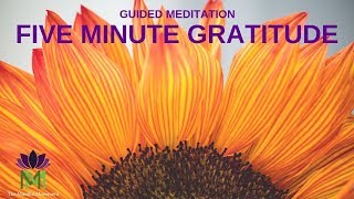 5 Minute Guided Meditation for Gratitude  Mindful Movement [upl. by Kally774]