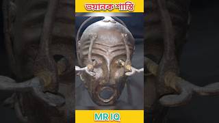 ভয়ানক শাস্তি। Mr IQ । shorts assamese assam assamesevideo assamesenews [upl. by Richer]