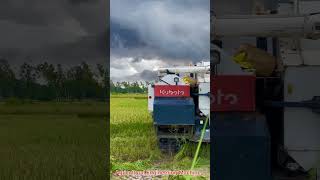 Kubota Running [upl. by Tuneberg]