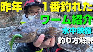 【根魚ワーム】昨年新発売されたワームで超釣れるワームがあったので紹介します！～多分初夏シーズンはもっと釣れるワーム～ [upl. by Pugh446]