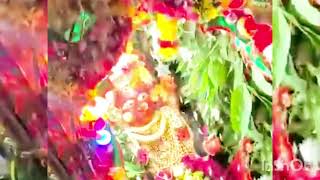 jewargi mahalaxmi jatre mahotsava [upl. by Woolson907]