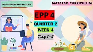 EPP 4 Matatag Curriculum PowerPoint Presentation Quarter 2 Week 4 Day 15 [upl. by Oribelle]