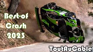 Best of Rallye Rally 2023  Hillclimb  Big Crash  Mistakes amp Show by ToutAuCable [upl. by Liss]