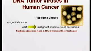 321 Oncogenic viruses DNA tumor viruses  Medical Microbiology [upl. by Akaya]