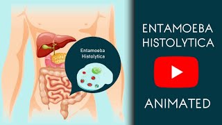 Entamoeba Histolytica in Easy Animated  Microbiology [upl. by Poppy]