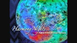 Harmony Nights  Southern Man [upl. by Coulson75]