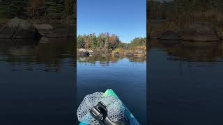 Beautiful Adirondack Lake New York crystal clear adirondackpark ￼ [upl. by Clementina957]