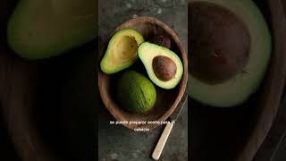 Propiedades del aguacate aguacate naturales natural saludables herbolaria [upl. by Naejarual]