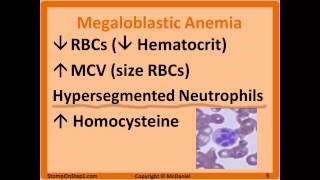 Folate amp B12 Deficiency Megaloblastic Anemia Hypersegmented Macrocytic Methylmalonic [upl. by Helli184]