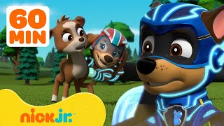 🔴 NEW PAW Patrol Season 10 Jungle Rescue Rescue Wheels Mighty Pups  All Day Cartoon Live Stream [upl. by Aehtrod]