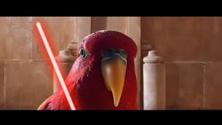 Red bird meme  Star Wars Episode 01  The Red Parrot Menance [upl. by Aivon]