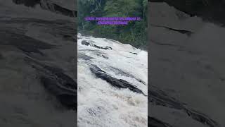 Trip to Athirapally vazhachal from santha HSS Avanoor youtube youtubeshorts youtuber waterfall [upl. by Meirrak551]