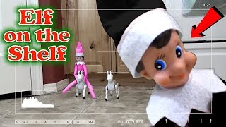 Elf on the Shelf Caught on Camera Every Clip in one Video Trinity and Beyond [upl. by Gherlein715]