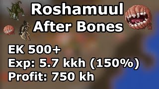 Roshamuul After bones  Hunt EK 500 solo Exp 57kkh 150 Profit 700750 kh [upl. by Au]