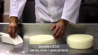 Come fare il formaggio Italico [upl. by Ycram]