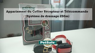 Appariement du Collier Récepteur et Télécommande Système de dressage 250m [upl. by Davenport34]